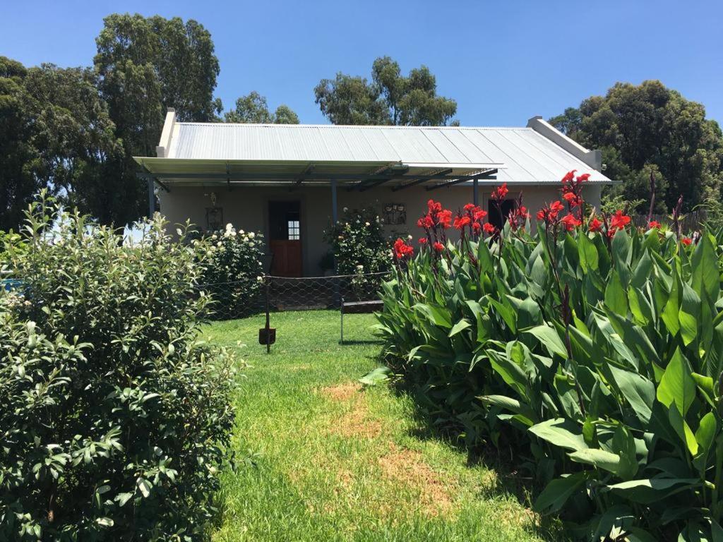 Sanctuary Life Guest Farm Otel Magaliesburg Dış mekan fotoğraf