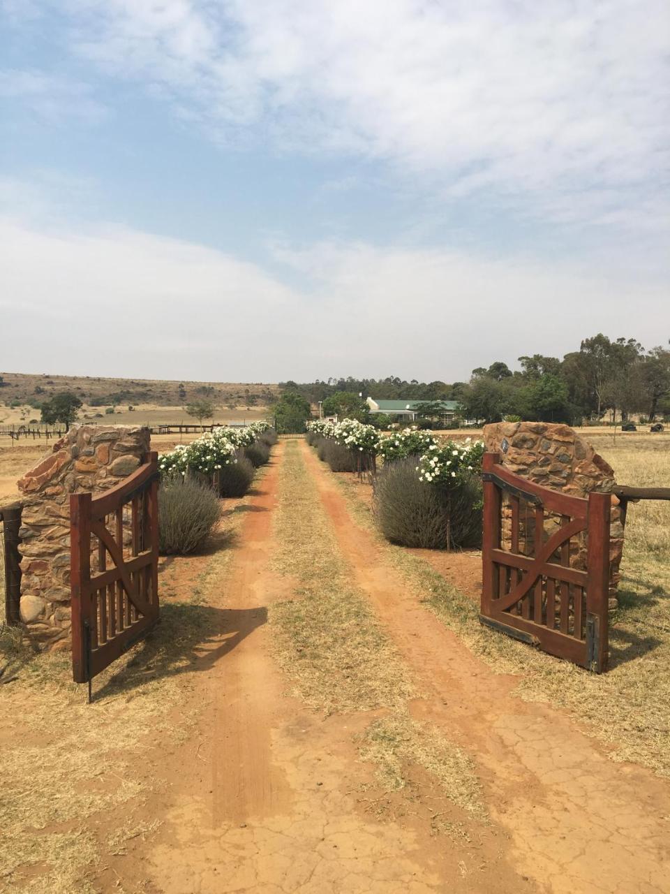 Sanctuary Life Guest Farm Otel Magaliesburg Dış mekan fotoğraf